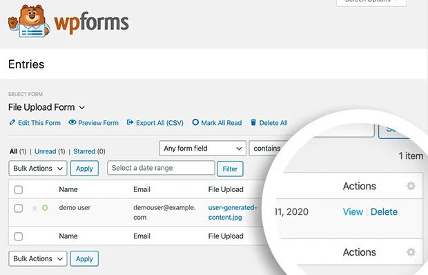  wpform entries