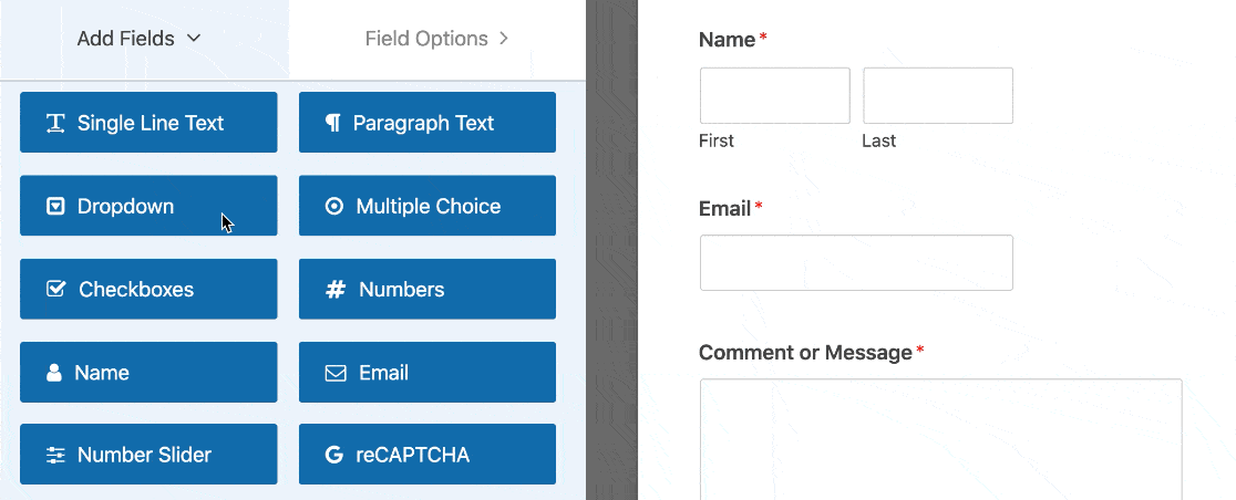 form drop down options