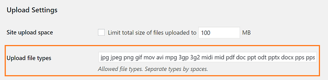 WordPress multisite upload file type settings