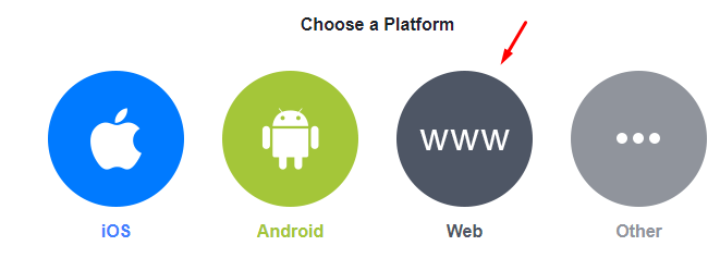 Choose "Web" for platform