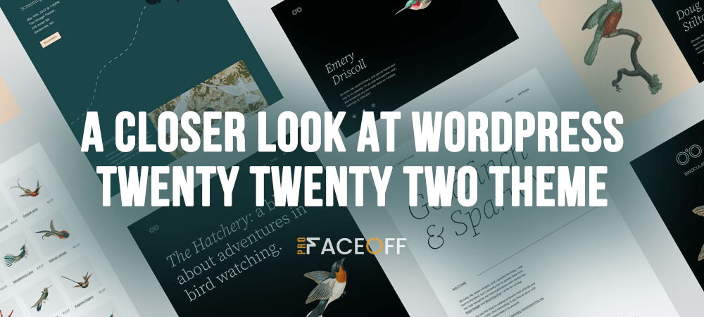 pfo-a-closer-look-at-wordpress-twenty-twenty-two-theme